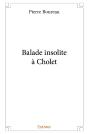 Balade Insolite À Cholet - Preview