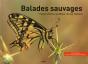Balades Sauvages - Preview