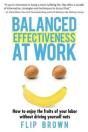Balanced Effectiveness At Work - Preview