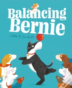 Capa do artigo Balancing Bernie