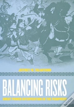 Capa do artigo Balancing Risks