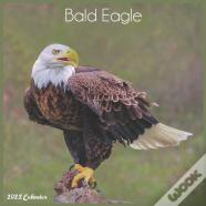 Bald Eagle 2022 Calendar
