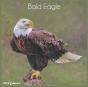 Bald Eagle 2022 Calendar - Preview