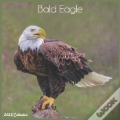 Capa do artigo Bald Eagle 2022 Calendar
