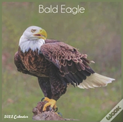Capa do artigo Bald Eagle 2022 Calendar