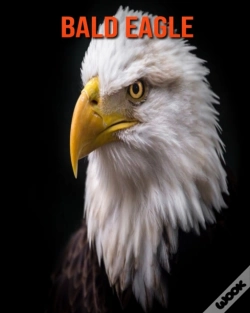 Capa do artigo Bald Eagle