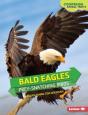 Bald Eagles - Preview
