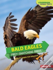 Capa do artigo Bald Eagles