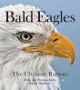 Bald Eagles - Preview