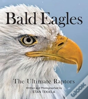 Capa do artigo Bald Eagles