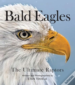 Capa do artigo Bald Eagles