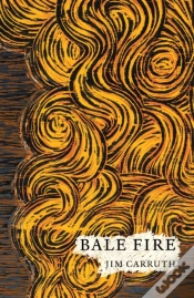 Capa do artigo Bale Fire