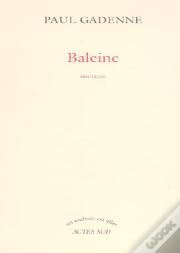 Baleine