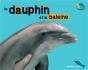 Baleine - Preview