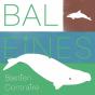 Baleines - Preview
