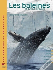 Baleines Et Autres Rorquals