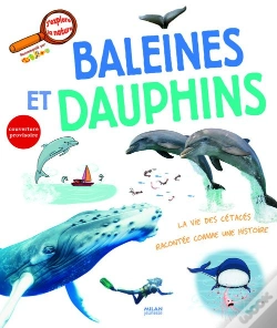 Capa do artigo Baleines Et Dauphins