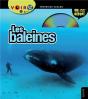 Baleines Et Dauphins - Preview
