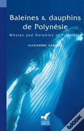 Baleines Et Dauphins De Polynesie