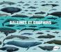 Baleines Et Dauphins ; Histoire Naturelle Et Guide Des Espèces - Preview