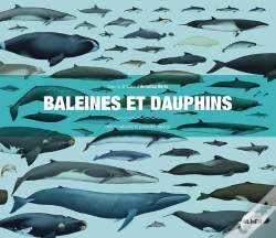 Capa do artigo Baleines Et Dauphins ; Histoire Naturelle Et Guide Des Espèces