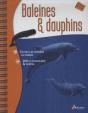 Baleines Et Dauphins ; Toutes Les Espèces Du Monde, 200 Illustrations & Photos - Preview