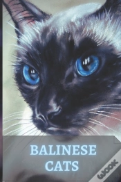 Capa do artigo Balinese Cats