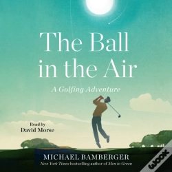 Capa do artigo Ball In The Air