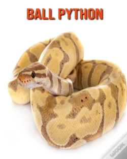 Capa do artigo Ball Python