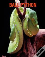 Ball Python
