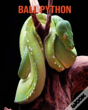 Capa do artigo Ball Python