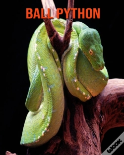 Capa do artigo Ball Python