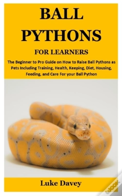 Capa do artigo Ball Pythons For Learners