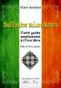 Bal(L)Ades Irlandaises : Petit Guide Sentimental À L'Eire Libre - Preview