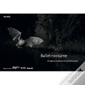 Ballet Nocturne