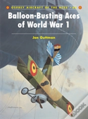 Capa do artigo Balloon-Busting Aces Of World War 1