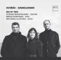 Baltic Trio: Dvorák/Babadjanian - CD - Preview