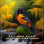 Baltimore Oriole And Other Bird Songs - Preview