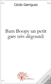 Capa do artigo Bam Boopy Un Petit Gars Très Dégourdi