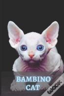 Bambino Cat