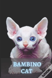 Capa do artigo Bambino Cat