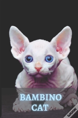 Capa do artigo Bambino Cat