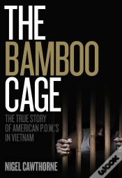 Capa do artigo Bamboo Cage