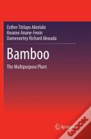 Bamboo