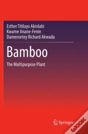 Capa do artigo Bamboo