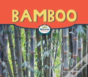 Capa do artigo Bamboo