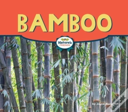 Capa do artigo Bamboo