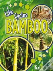 Capa do artigo Bamboo