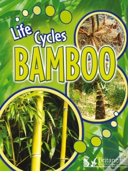 Capa do artigo Bamboo