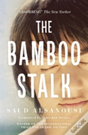 Capa do artigo Bamboo Stalk